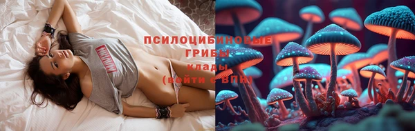 молекула духа Заволжск