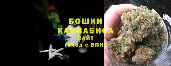 дмт Заводоуковск