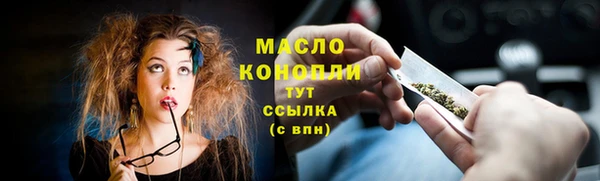 дмт Заводоуковск