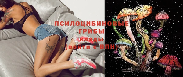 МДПВ Заволжье