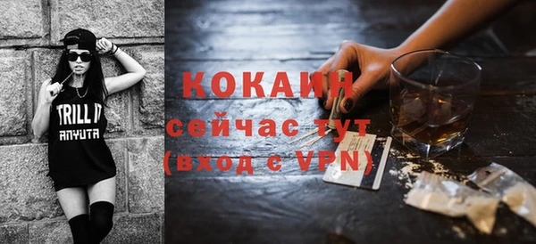дмт Заводоуковск
