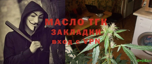 дмт Заводоуковск