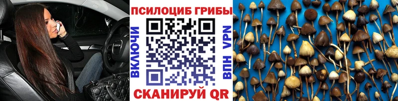 Купить  Зверево  Псилоцибиновые грибы MAGIC MUSHROOMS 